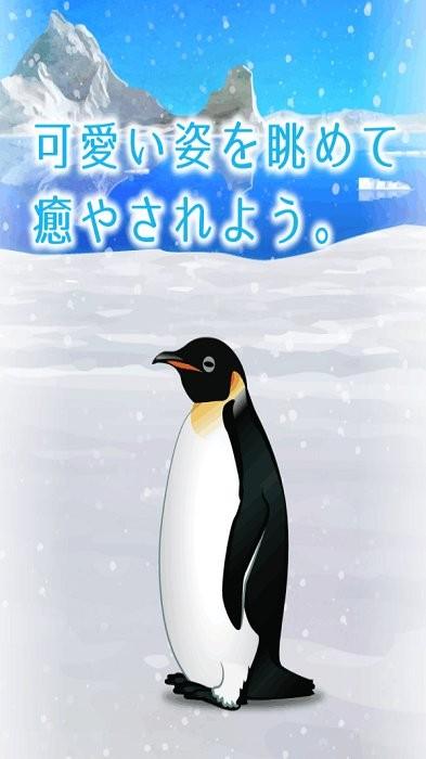 治愈的养成企鹅最新版(penguin)下载,治愈游戏,养成游戏,治愈的养成企鹅